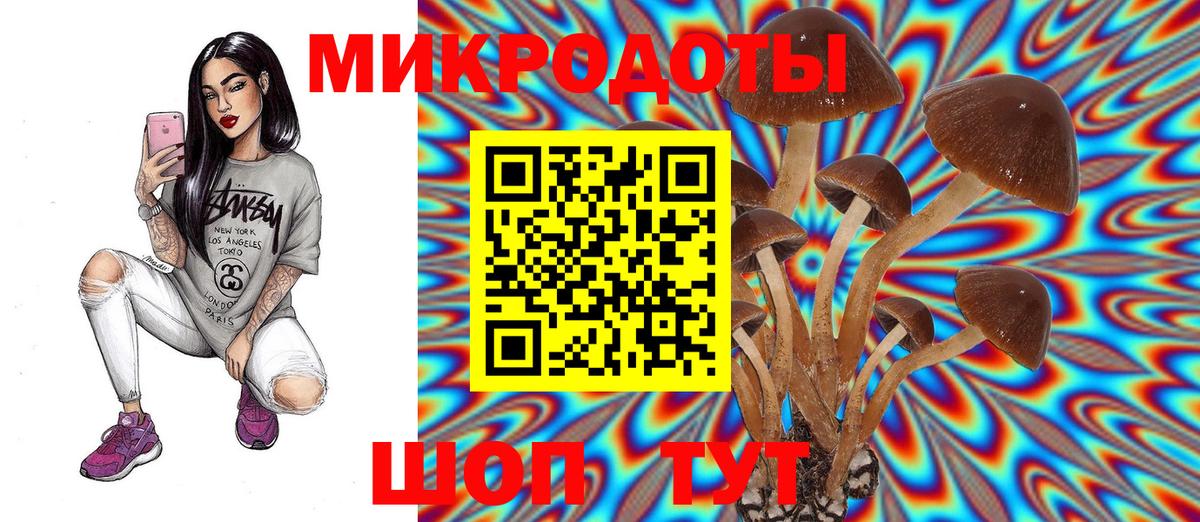 Галлюциногенные грибы мицелий  Вход с VPN  Южно-Сахалинск 