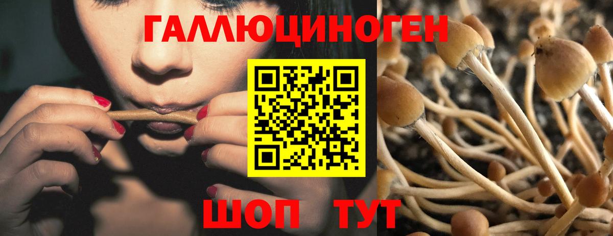 Псилоцибиновые грибы мухоморы Южно-Сахалинск